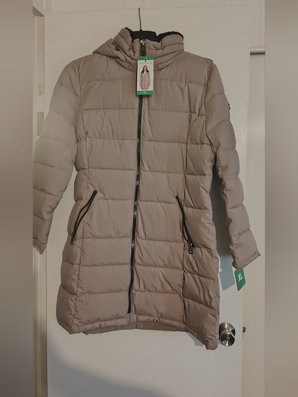 Jacket - Picture 2 of 4